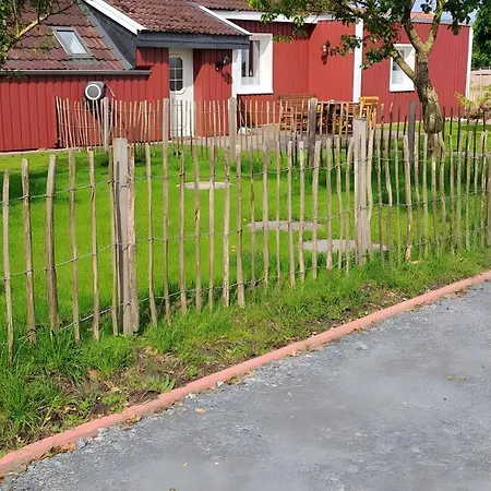 Moewennest Dornum