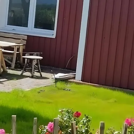 Moewennest *